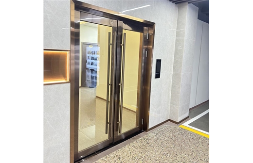 Stainless steel fire-proof glass doors